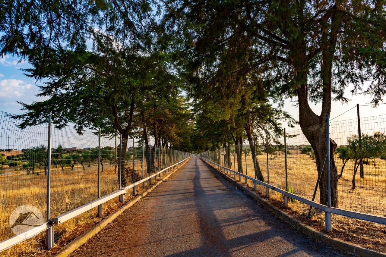 Alojamento Local Santa Marta Zebreira ภายนอก รูปภาพ
